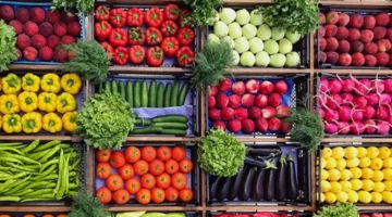 سعر الطماطم يسجل 30 جنيهاً للجملة مع انخفاض 10 أصناف من الخضار